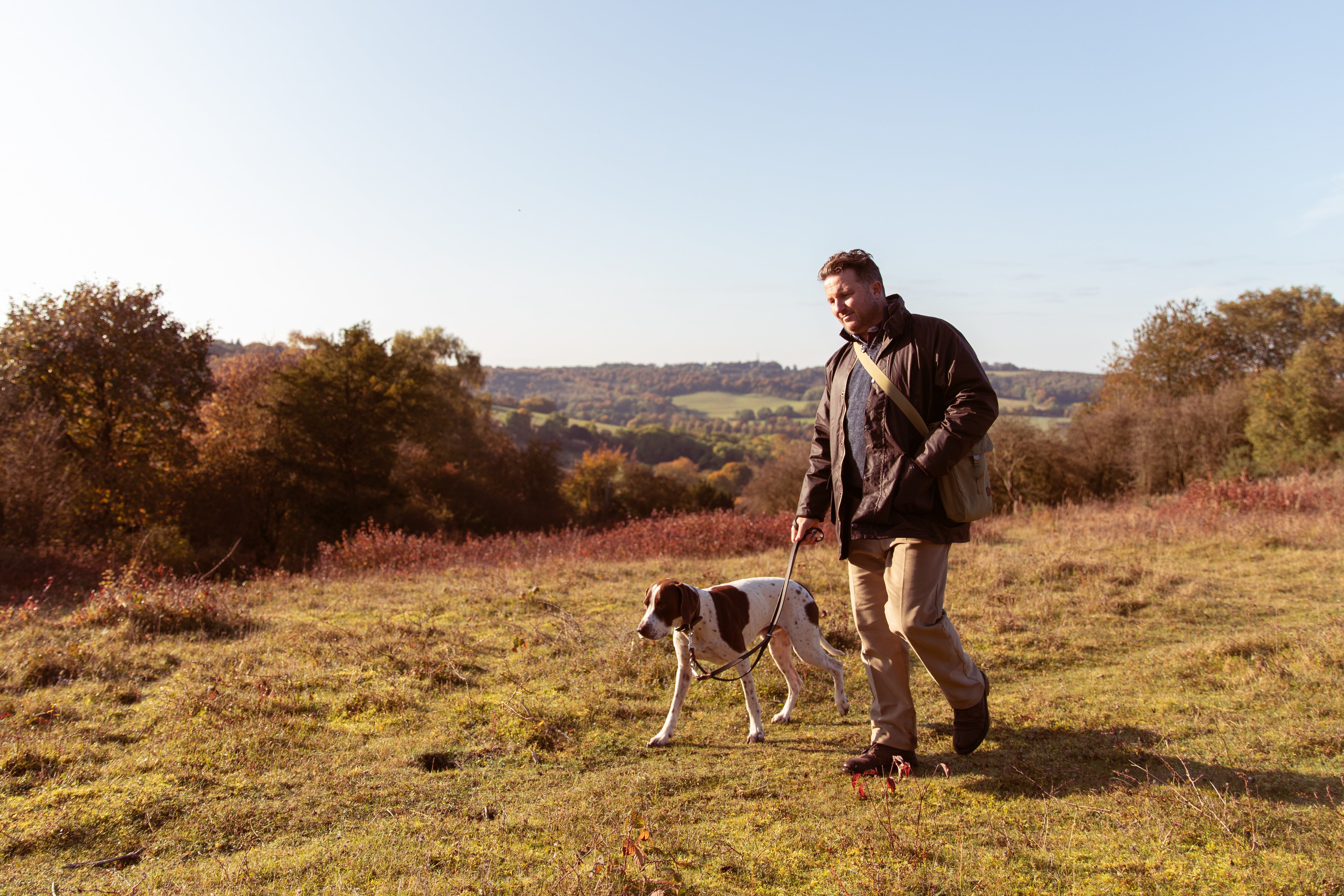 Best dog food for sensitive stomachs