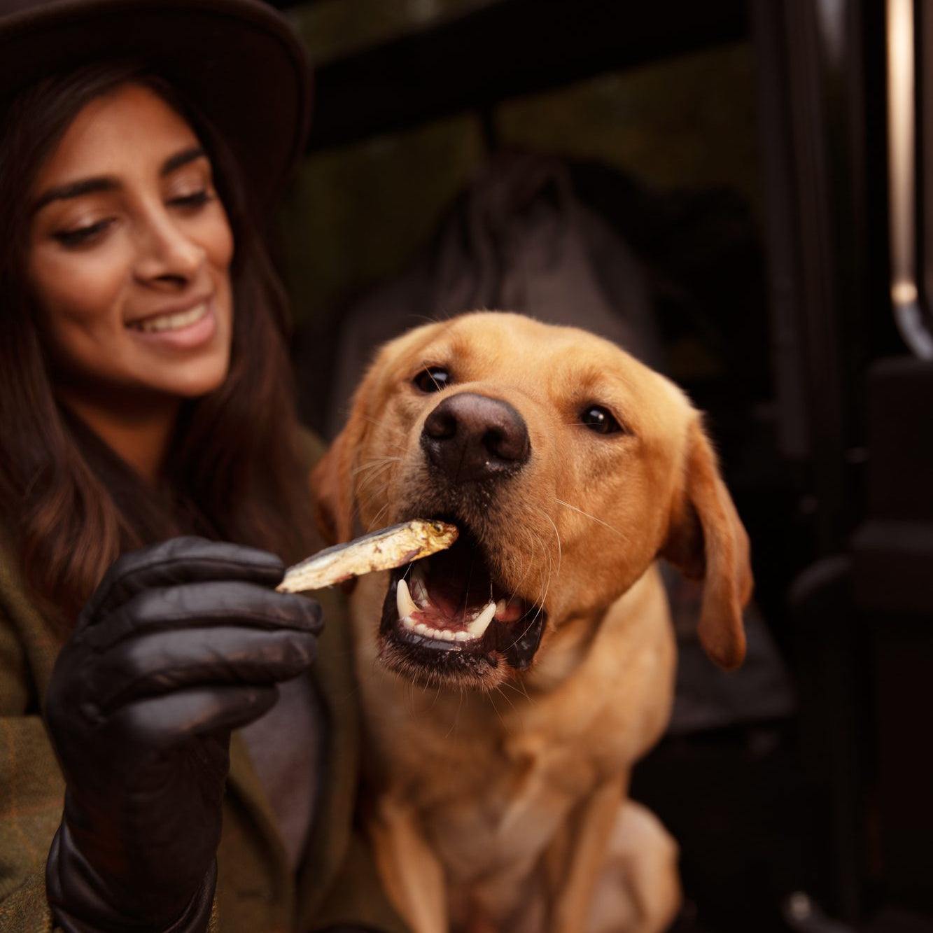 What can dogs eat?