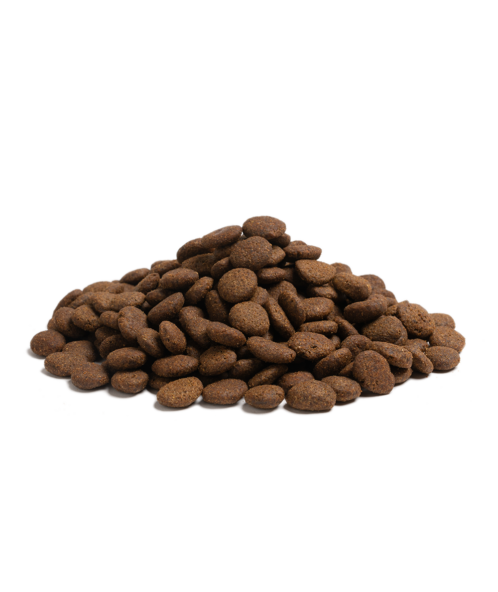 THE BEGINNING LARGE BREED, 10KG x 2