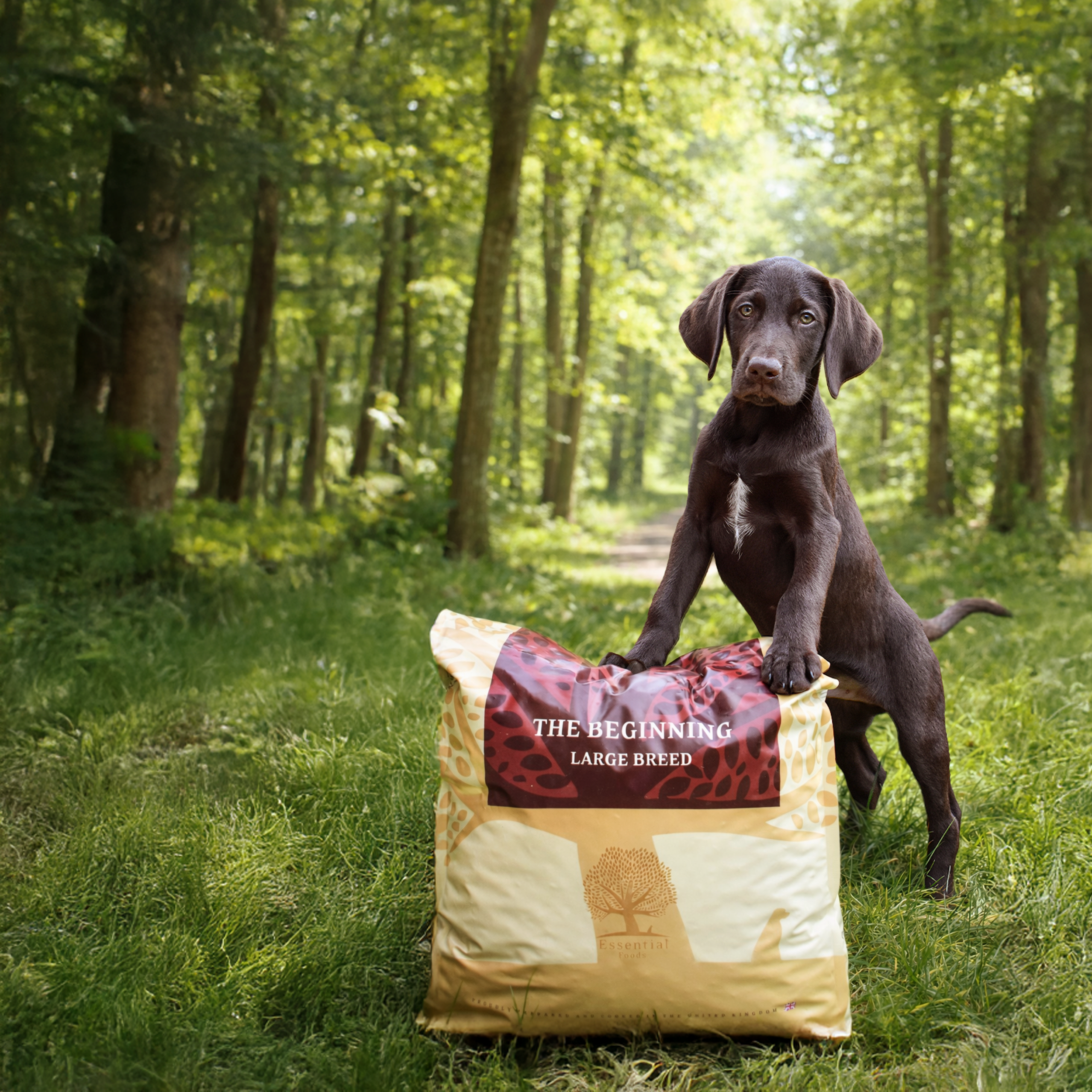 OUR FINEST BEGINNING LARGE BREED, 10KG