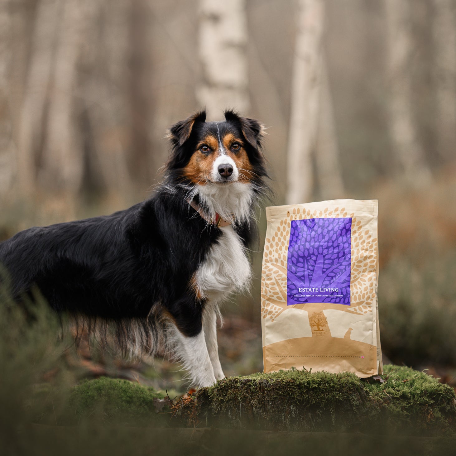 THE COUNTRYSIDE TASTE BOX, 2,5KG x 3