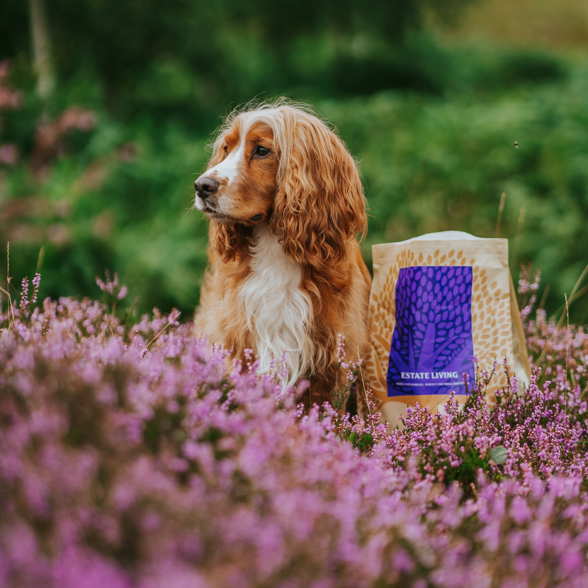 OUR FINEST ESTATE LIVING, 2.5KG