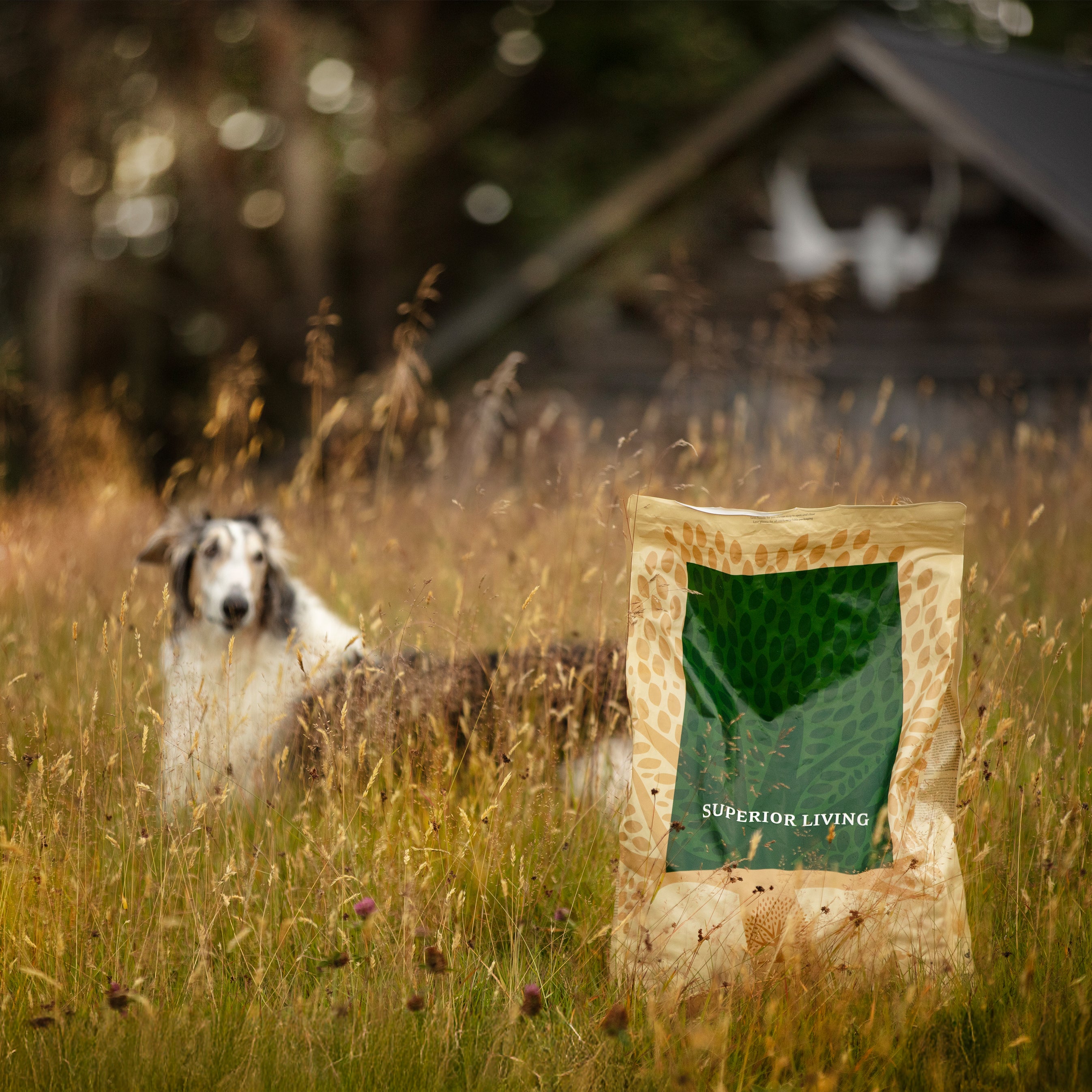 OUR FINEST CLASSIC TASTE BOX, 10KG x 3