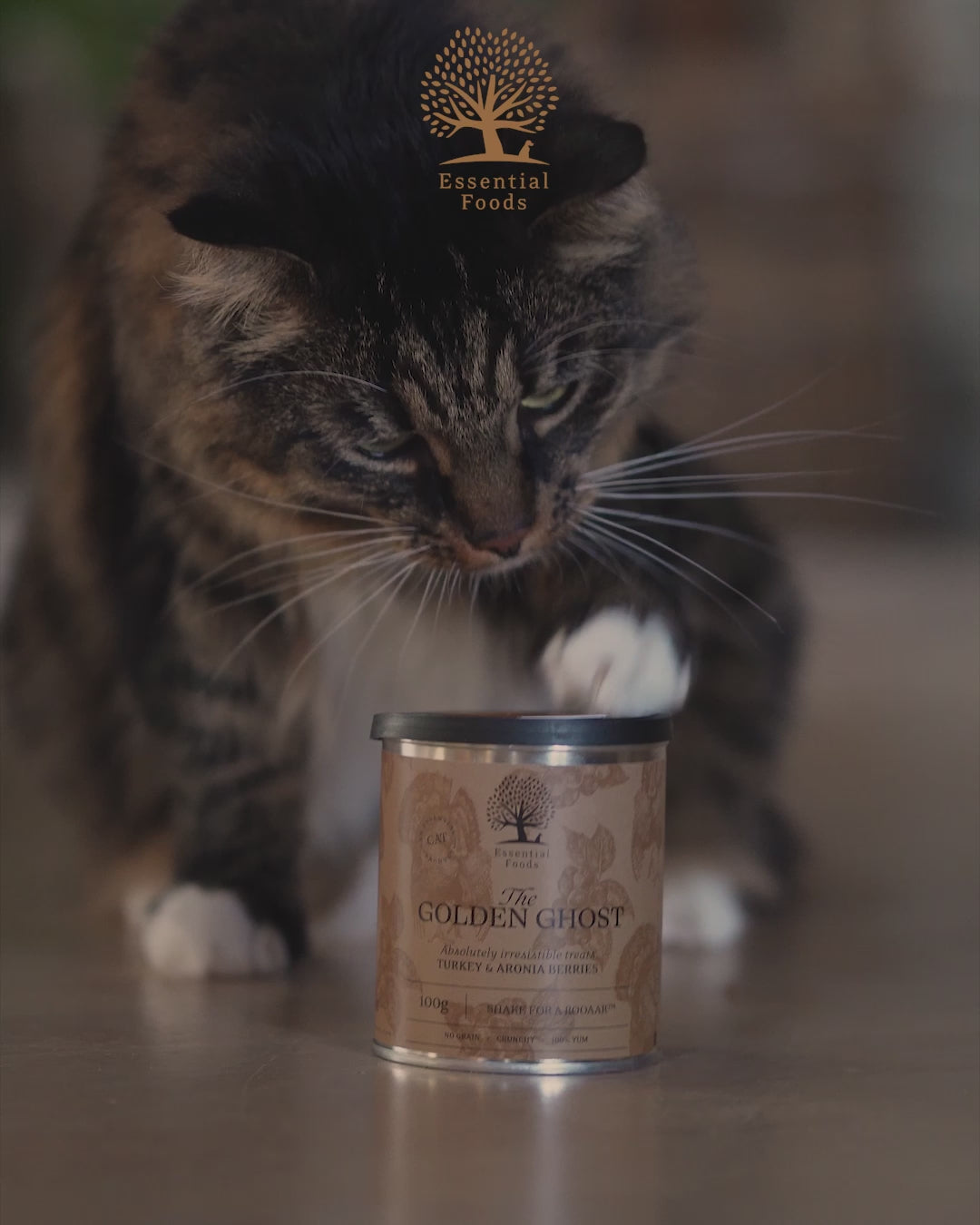 THE GOLDEN GHOST x 3