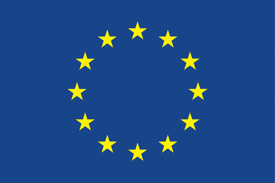 EU Flag